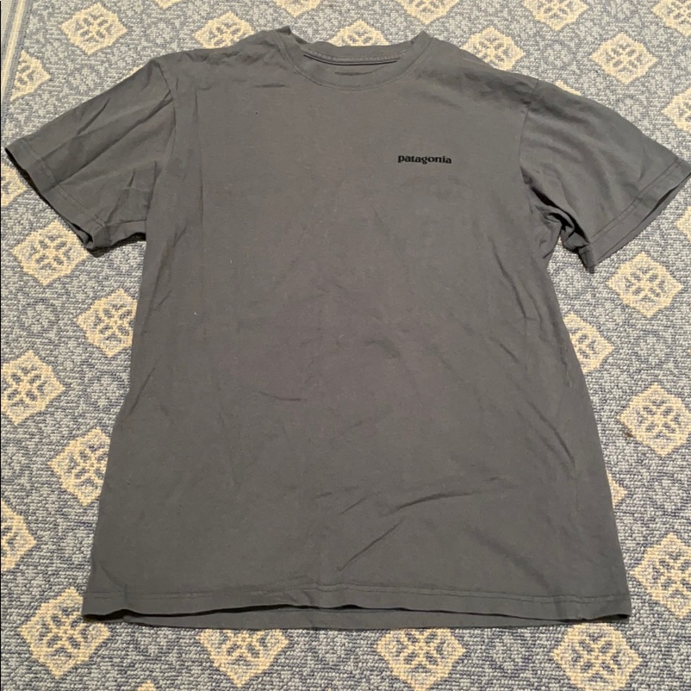 Patagonia t shirt